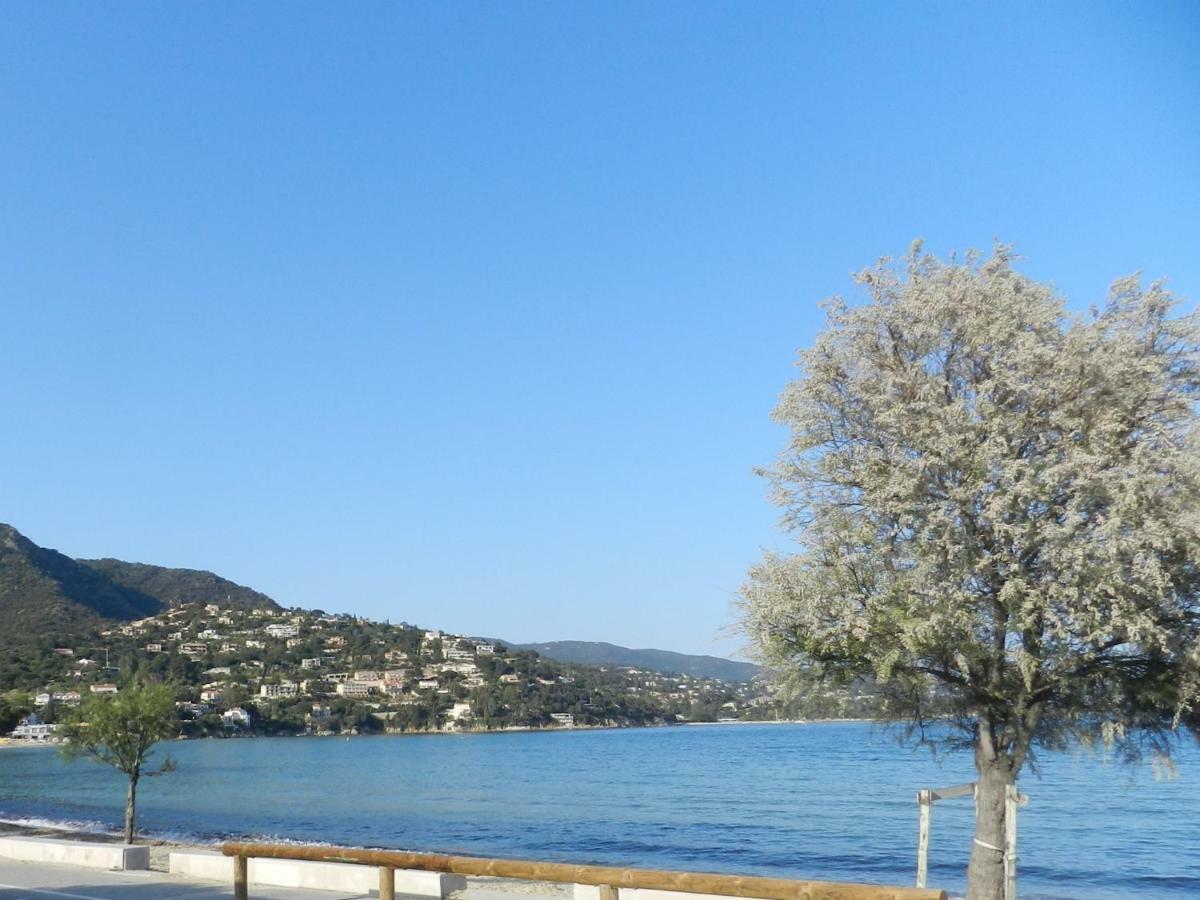 Appartement Les Pieds Dans L'Eau ! 勒拉旺杜 外观 照片